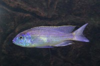 /album/fotogalerij-startpagina1/p1050762-jpg/